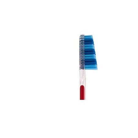 Taumarin Spazzolino Scalare 33 Setole Morbide