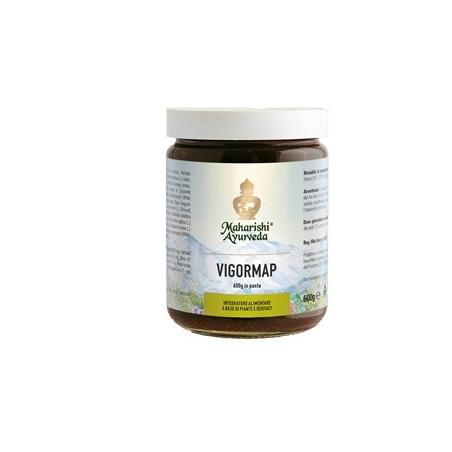 Vigormap Integratore Ayurvedico Alimentare per la Digestione 600g
