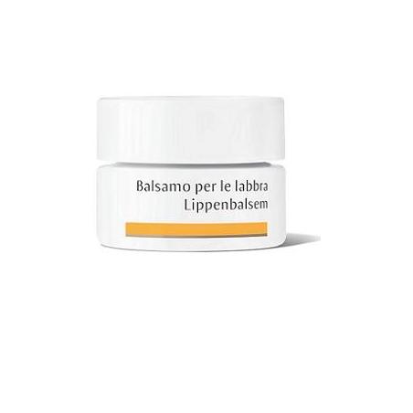 Dr Hauschka Balsamo per le Labbra Rigenerante e Protettivo 4.5g