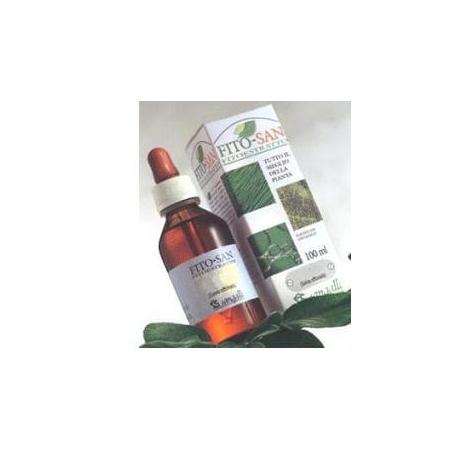 Sangalli Uva Ursina Tintura Madre 100 Ml