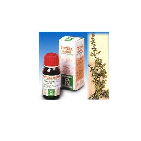 Specchiasol Uva Ursina Tintura madre 50 Ml
