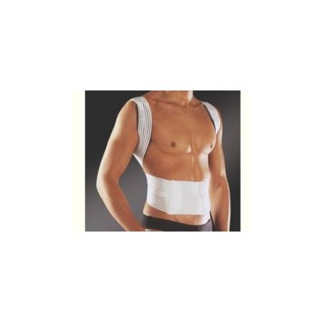 Pavis Raddrizzaspalle New Edge 576 M