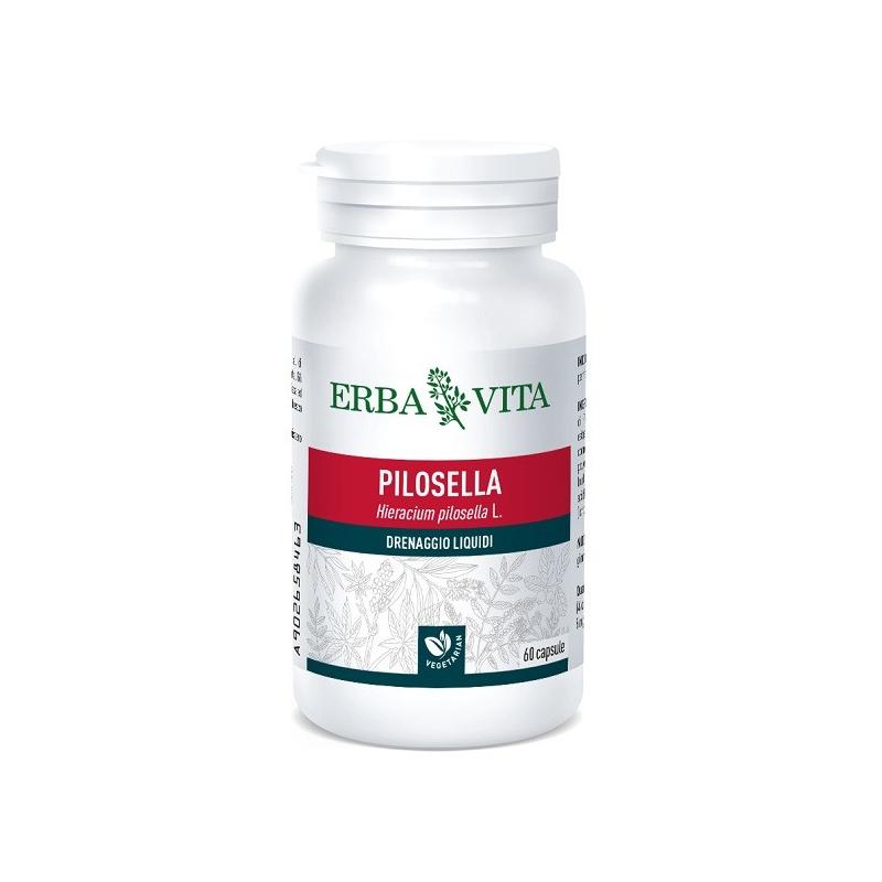 Erba Vita Group Pilosella 60 Capsule 400 Mg Erba Vita Group Pilosella 60 Capsule 400 Mg