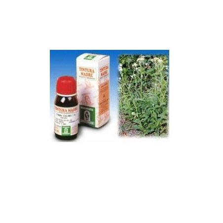 Specchiasol Achillea 51 50ml Tm