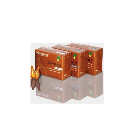 Q Vet Essential 6 Spot On Cane 20/40 Kg 4 Pipette 2,4 Ml