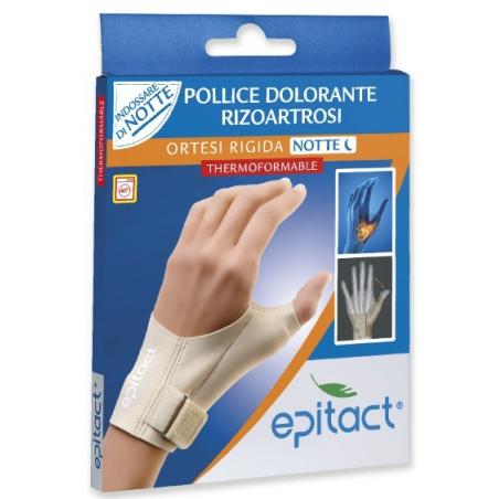 EPITACT ORT MANO NTT SX L