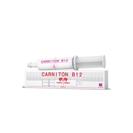 Acme Carniton B 12 Pasta Integratore Cardiaco 1 Siringa 100 gr