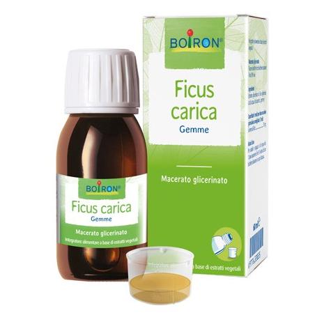Boiron Ficus Carica 60 ml Rimedio Omeopatico Macerato Glicerico