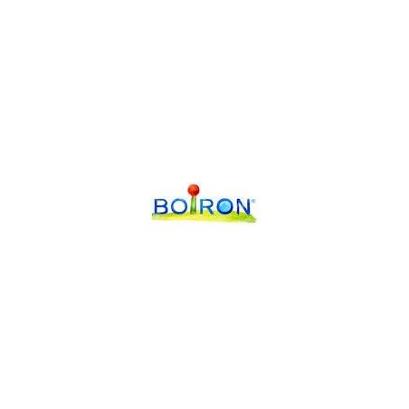 Boiron Corylia 40 Compresse Rimedio Omeopatico
