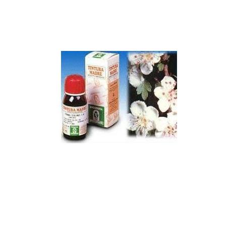 Specchiasol Tintura Madre 50 ml Soluzione Idroalcolica 10 Biancospino
