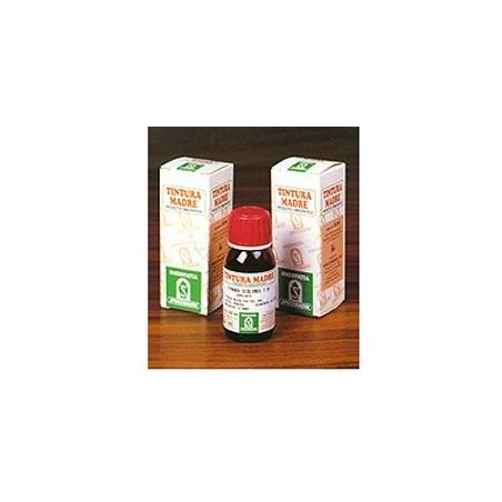 Specchiasol Tintura Madre 50 ml Soluzione Idroalcolica 15 Amamelide