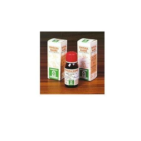 Specchiasol Tintura Madre 50 ml Soluzione Idroalcolica 29 Damiana