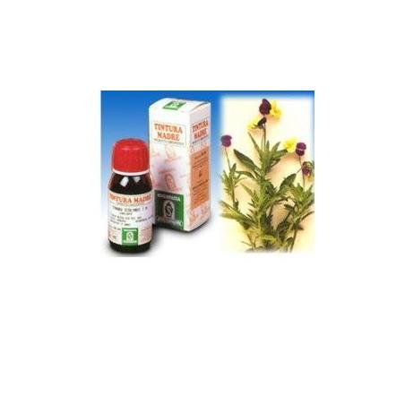 Specchiasol Tintura Madre 50 ml Soluzione Idroalcolica 32 Viola del Pensiero