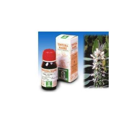 Specchiasol Tintura Madre 50 ml Soluzione Idroalcolica 16 Cardiaca