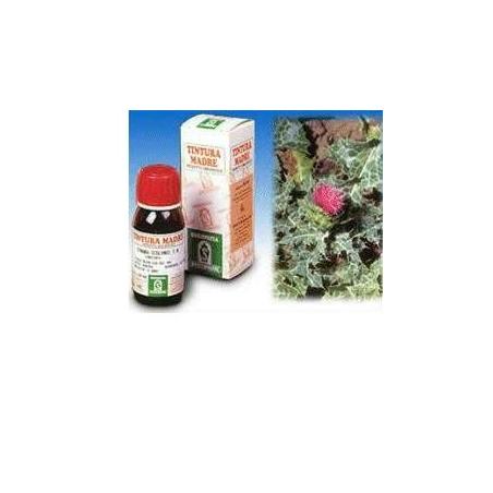 Specchiasol Tintuta Madre 50 ml Soluzione Idroalcolica 6 Cardio Mariano