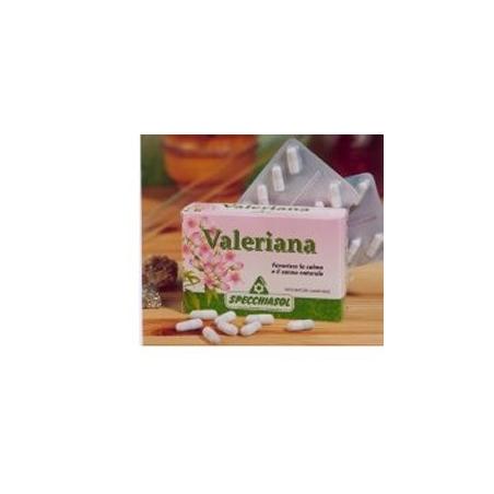 Specchiasol Valeriana 30 Capsule Integratore Sonno e Rilassamento
