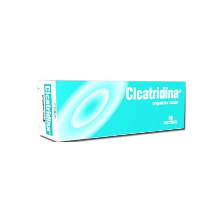 Cicatridina Unguento Nasale Idratante 15 g