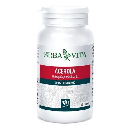 Acerola 60 Capsule 550 Mg