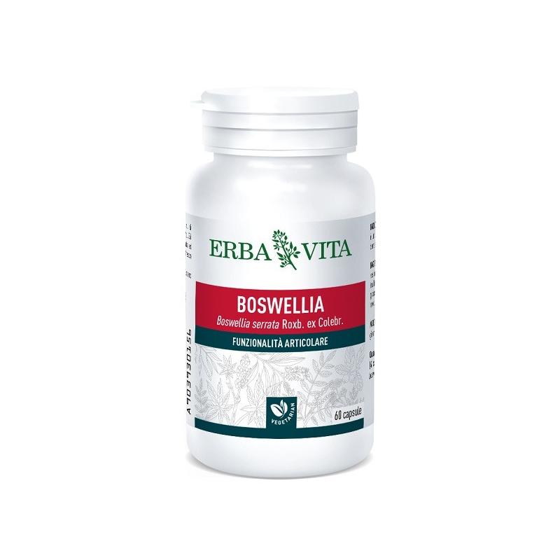 Boswellia Serrata 60 Capsule 400 Mg