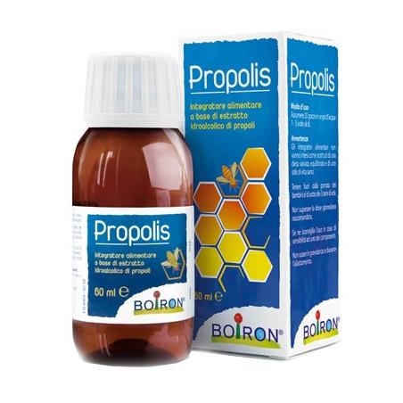 PROPOLIS BOI 60ML