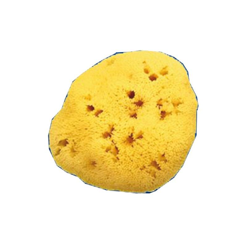 SPUGNA NAT FORI L 8/9CM 5 SPUGNA NAT FORI L 8/9CM 5