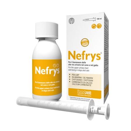 NEFRYS VEG 100 100ML C/SIR DOS