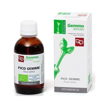 FICO GEMME MG BIO 50ML