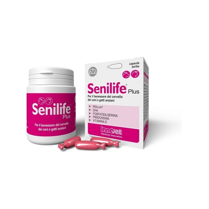 SENILIFE PLUS 60CPS