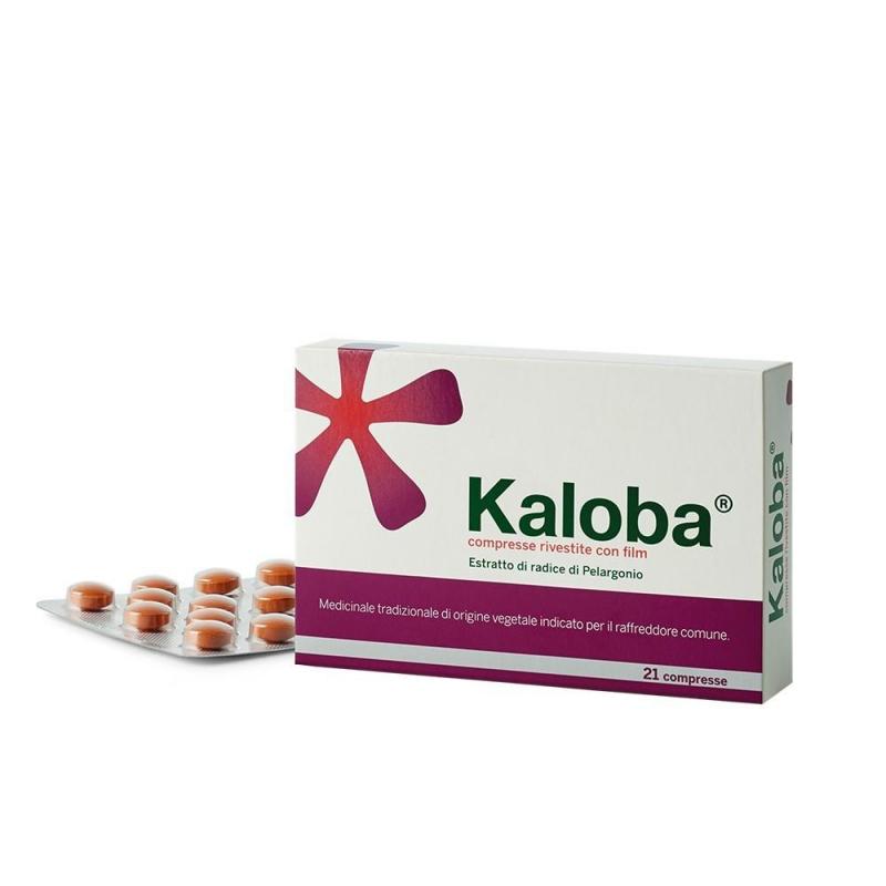 Schwabe Pharma Kaloba contro il raffreddore di adulti e adolescenti 21 compresse rivestite
