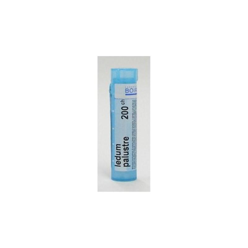 Boiron Ledum Palustre 200CH 4 g Globuli Rimedio Omeopatico