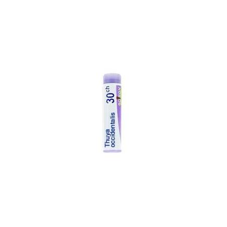 Boiron Thuya Occidentalis 30CH Globuli Rimedio Omeopatico