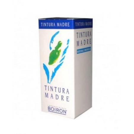Boiron Urtica Dioica Tintura Madre 60 ml Rimedio Omeopatico