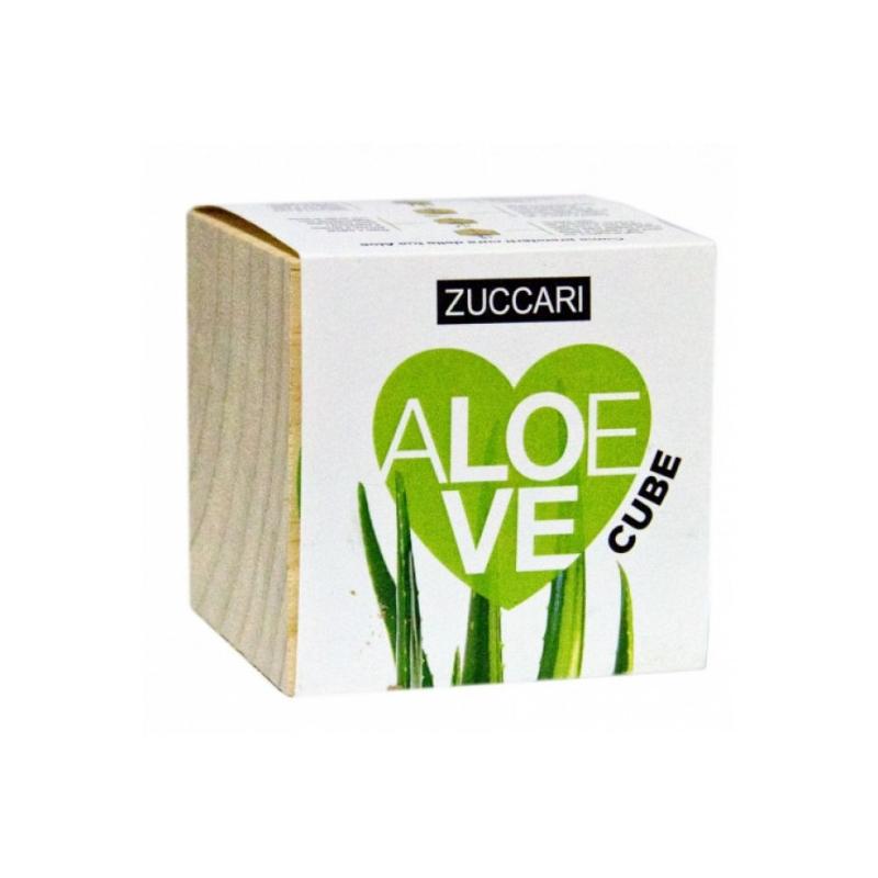 Zuccari Aloe Love Cube piantina da far germogliare 1 pezzo