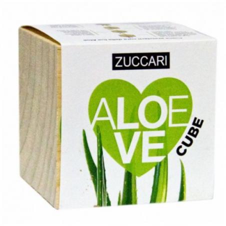 Zuccari Aloe Love Cube piantina da far germogliare 1 pezzo