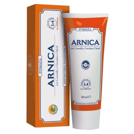 Arnica Forte Pomata 100 Ml