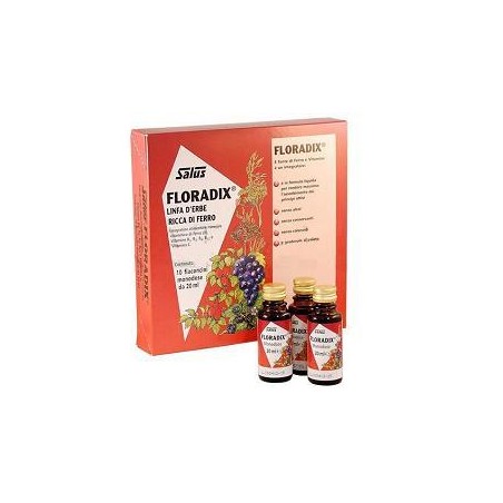 Floradix Monodose 10 Fiale