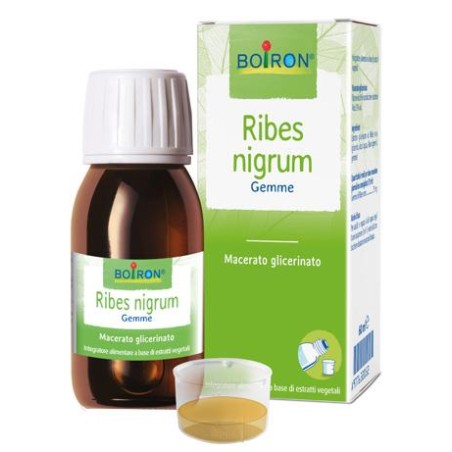 Ribes Nigrum Macerato Glicerico 60 Ml Int