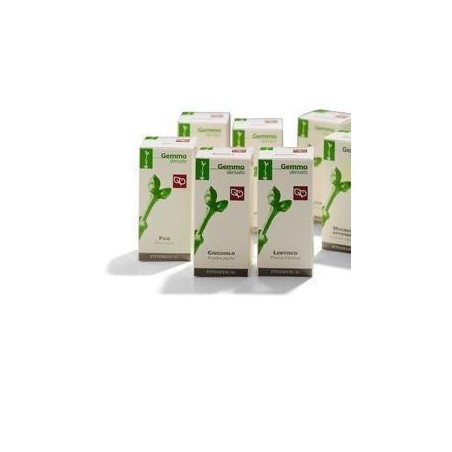 Ribes Nero Macerato Glicerico 200 Ml