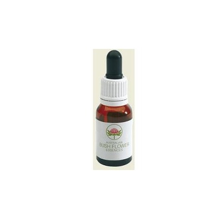 Dog Rose Wild Force Australian 15 Ml
