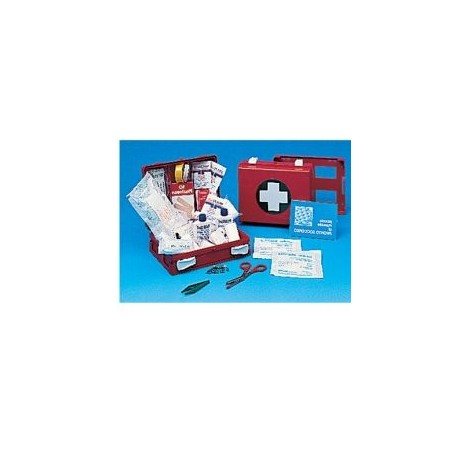 Cassetta Pronto Soccorso Family Per Campeggio, Bricolage, Casa E Ufficio. Contenitore In Abs Antiurto Con Supporto Per Il Fissag