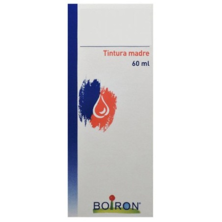 Thuya Occidentalis Tintura Madre 60 Ml
