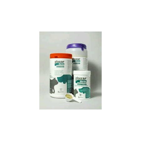 Glazarderm Flacone 500 G