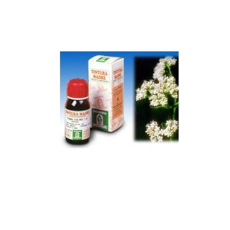 Valeriana 36 Tintura Madre 50 Ml