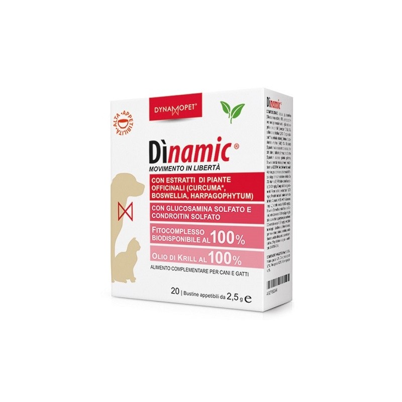 Dinamic 20 Bustine 2,5 G