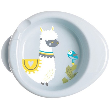 Chicco Piatto Pappacalda 6 Mesi+ Verde