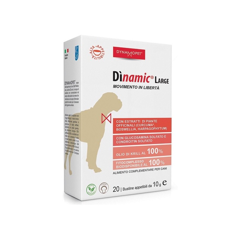 Dinamic Large 20 Bustine 10 G