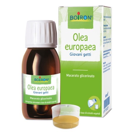Olea Europaea Macerato Glicerico 60 Ml Int