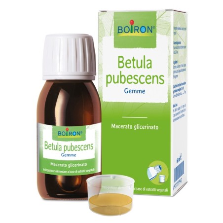 Betula Pubescens Macerato Glicerico 60 Ml Int