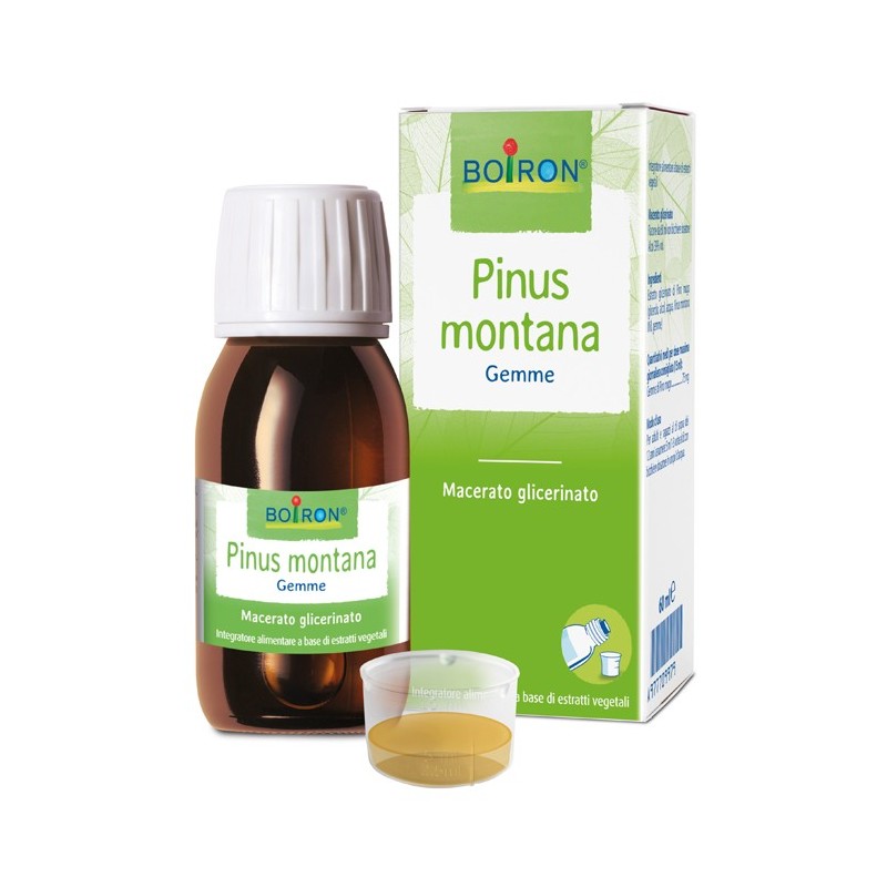 Pinus Montana Macerato Glicerico 60 Ml Int