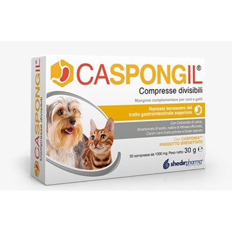 Caspongil 30cpr Divisibili